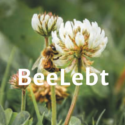 BeeLebt